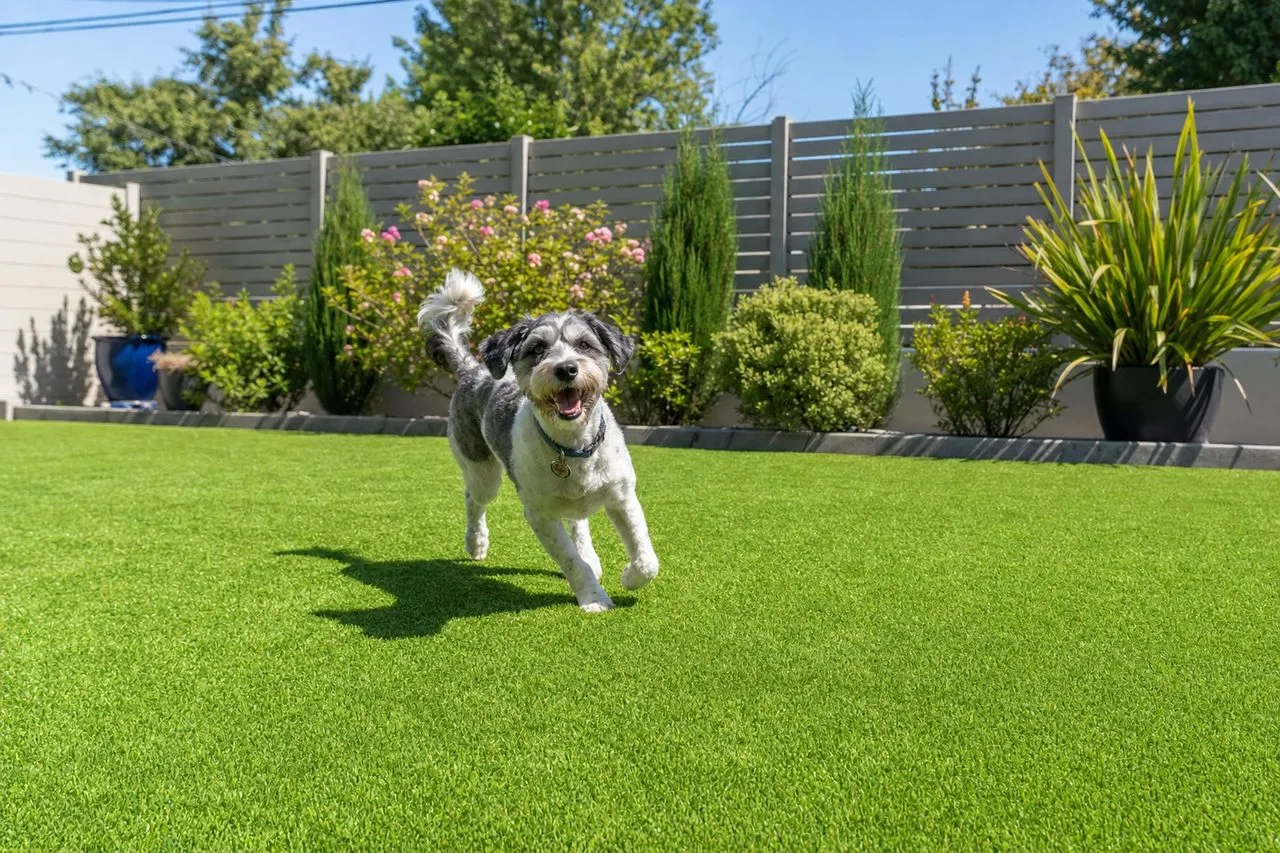 Dog-friendly artificial turf yard inspiration for Tulsa pet owners